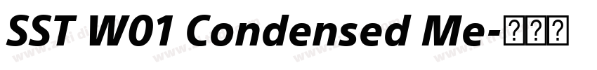 SST W01 Condensed Me字体转换